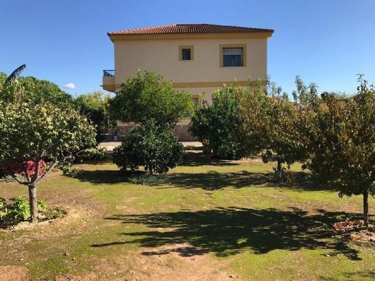 te koop boerderij Almodóvar Del Río Valle Medio Del Guadalquivir 2