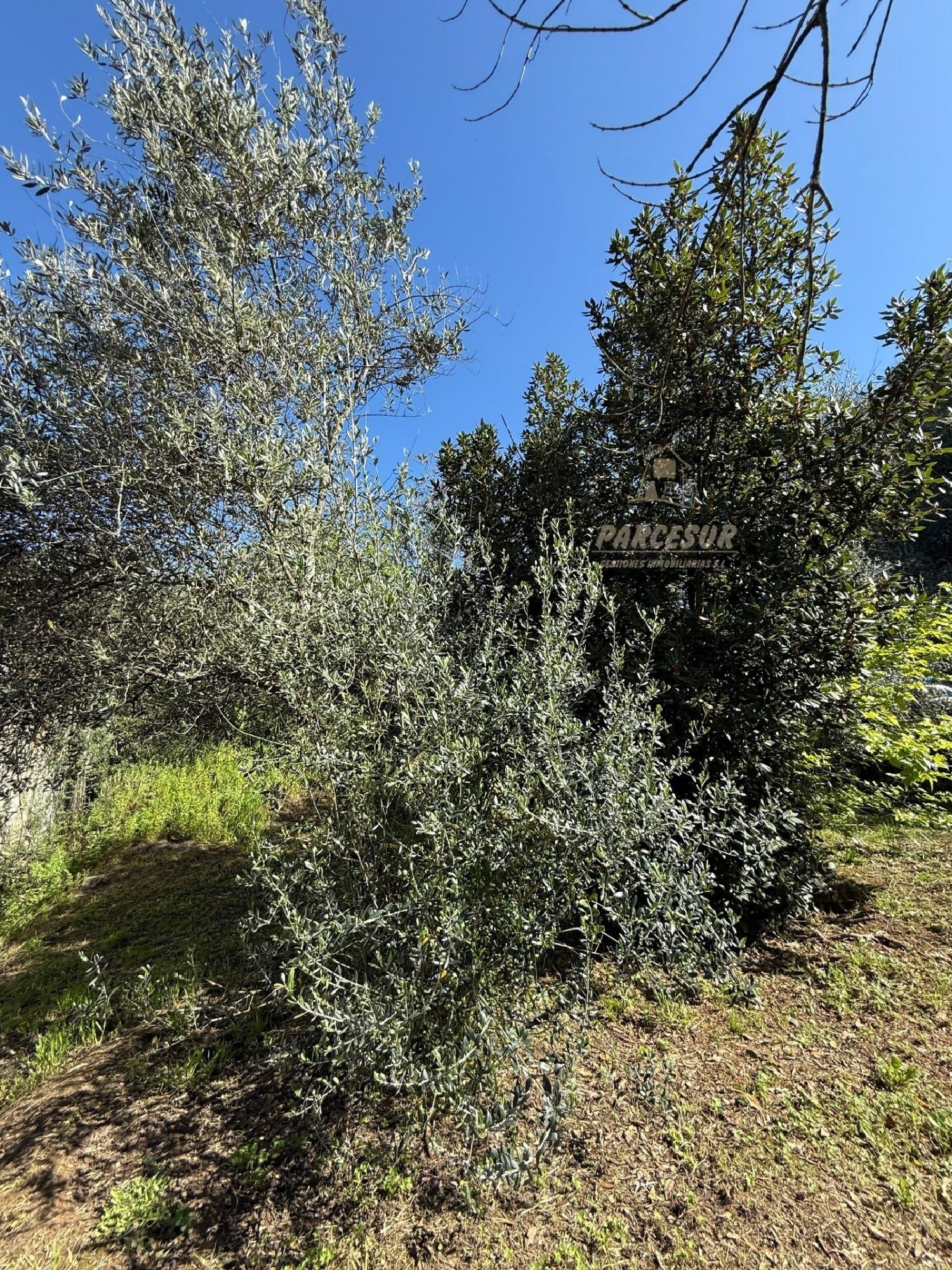  till salu hus på landet Almodóvar Del Río Valle Medio Del Guadalquivir 8