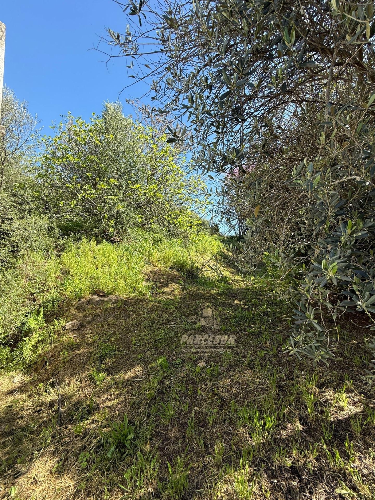  till salu hus på landet Almodóvar Del Río Valle Medio Del Guadalquivir 7