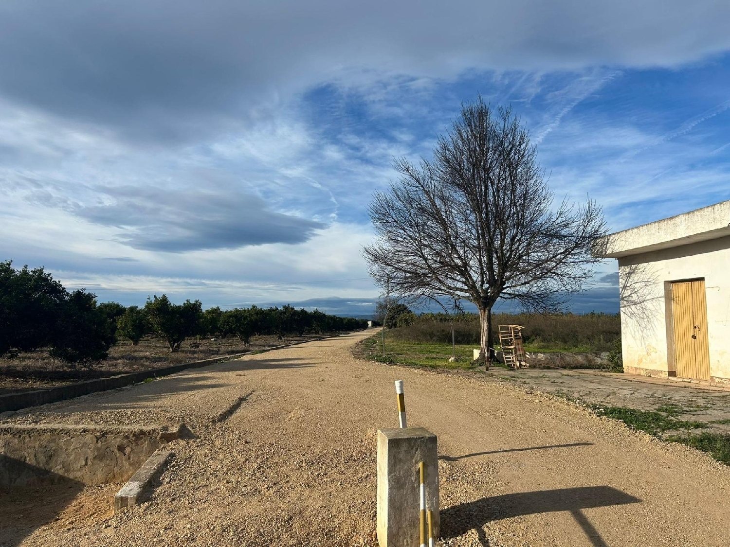 à vendre maison de campagne Alzira Ribera Alta 2