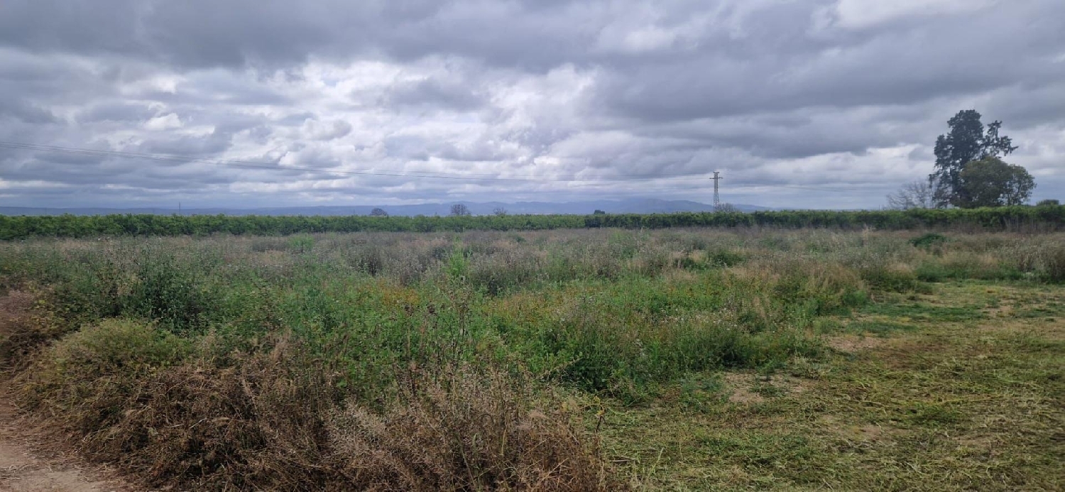  à vendre maison de campagne Alzira Ribera Alta 8