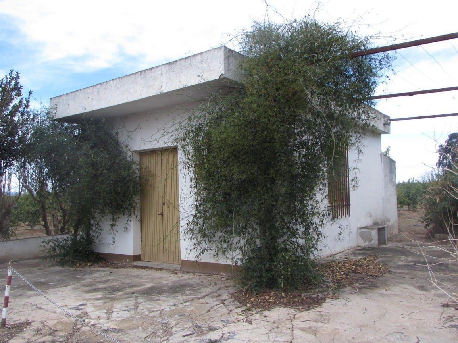  à vendre maison de campagne Alzira Ribera Alta 4