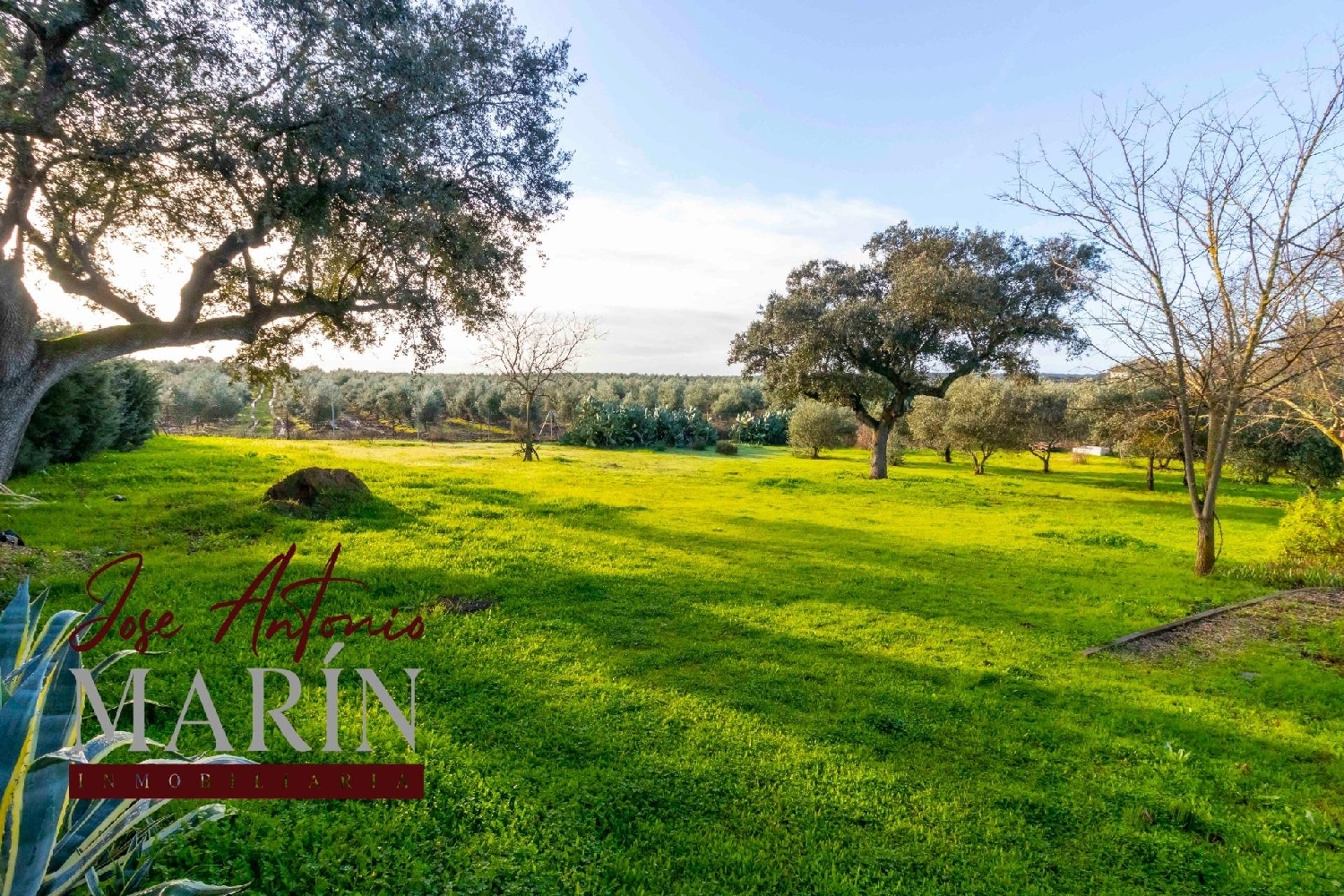  till salu hus på landet Badajoz Casco Antiguo-Centro Badajoz 5