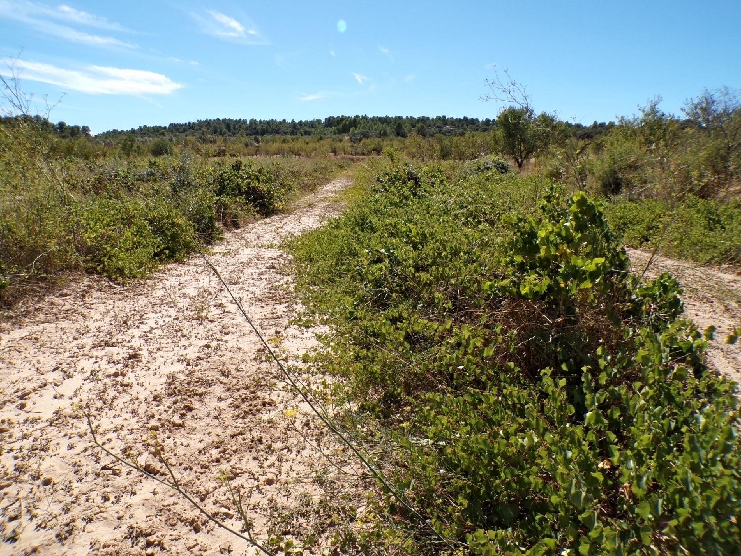  kaufen Landhaus Calaceite Matarraña 4