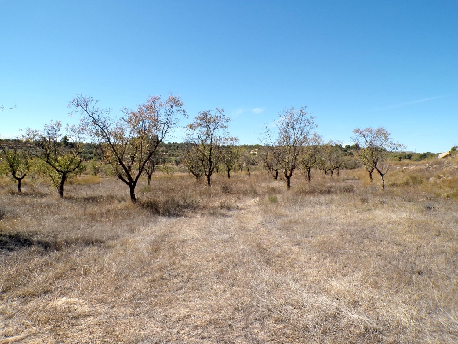  kaufen Landhaus Calaceite Matarraña 1