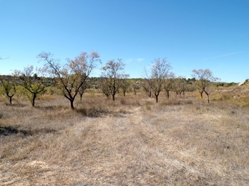 Calaceite Matarraña maison de campagne foto 6339888