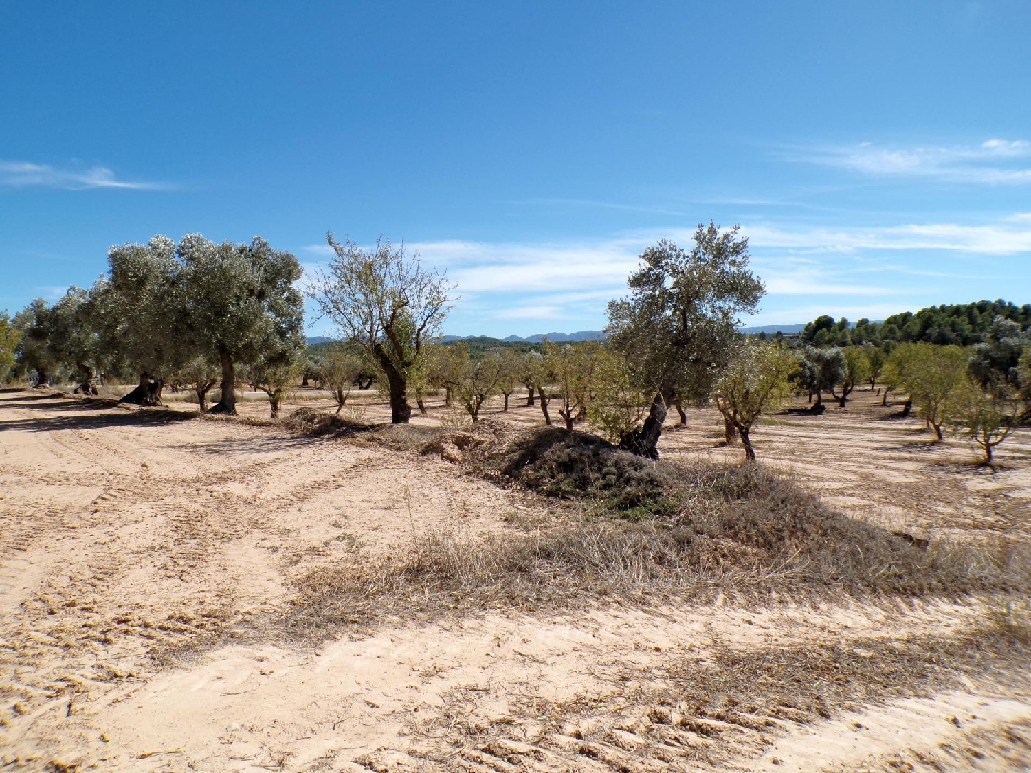  kaufen Landhaus Calaceite Matarraña 2