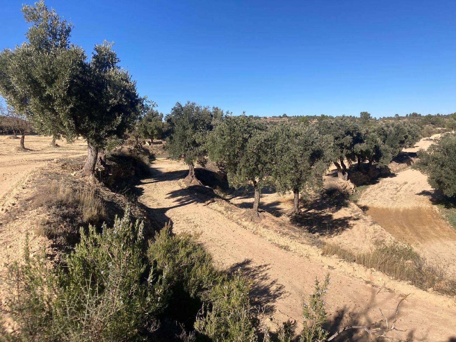  à vendre maison de campagne Calaceite Matarraña 6