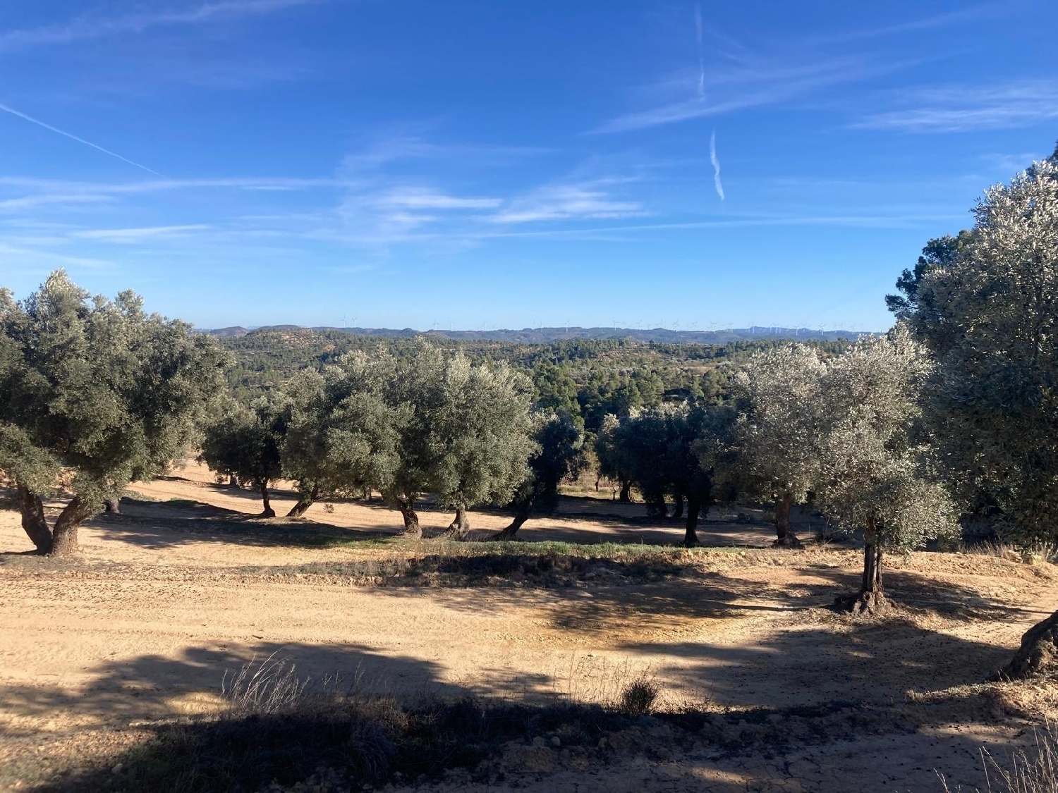  à vendre maison de campagne Calaceite Matarraña 7