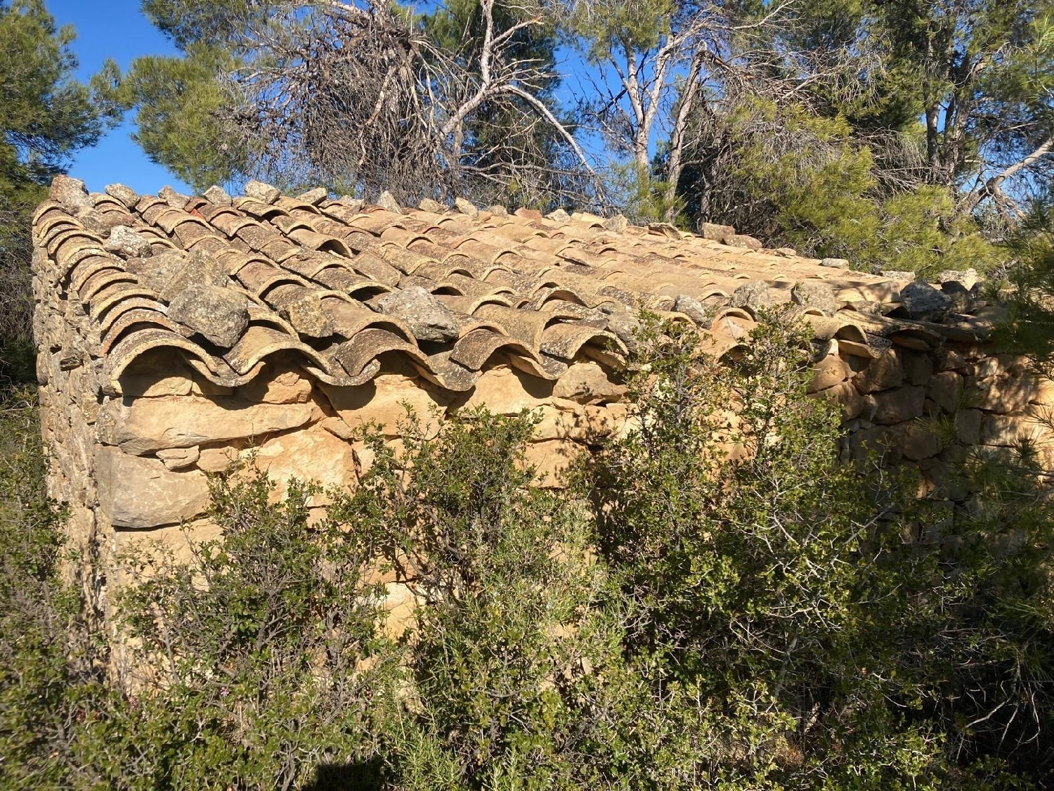  à vendre maison de campagne Calaceite Matarraña 3