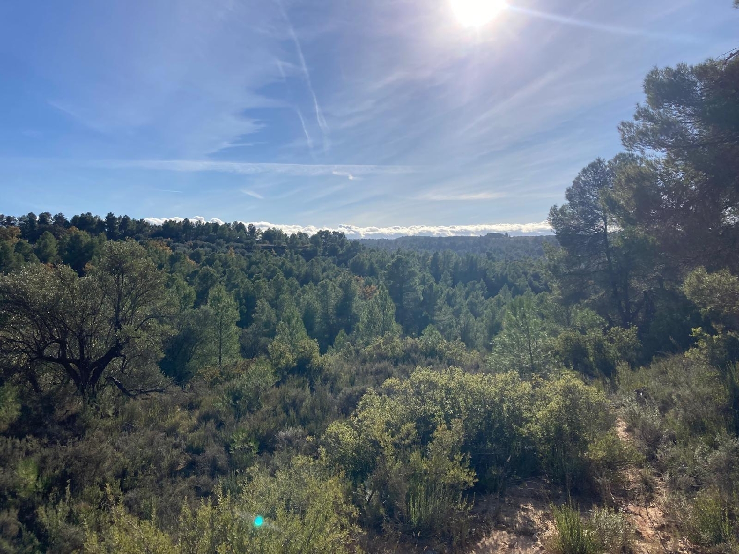  kaufen Landhaus Calaceite Matarraña 4