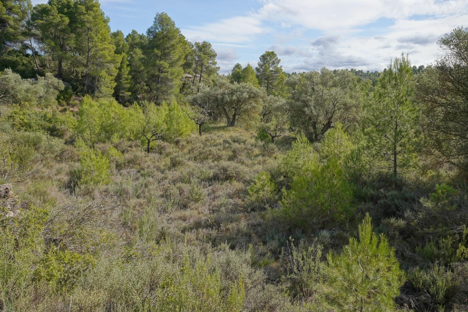  kaufen Landhaus Calaceite Matarraña 5