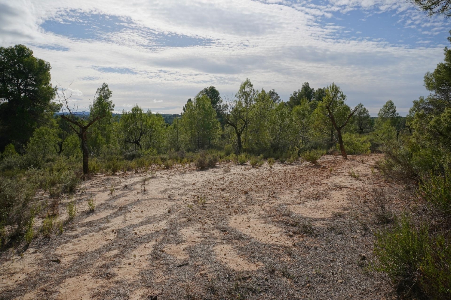  kaufen Landhaus Calaceite Matarraña 6