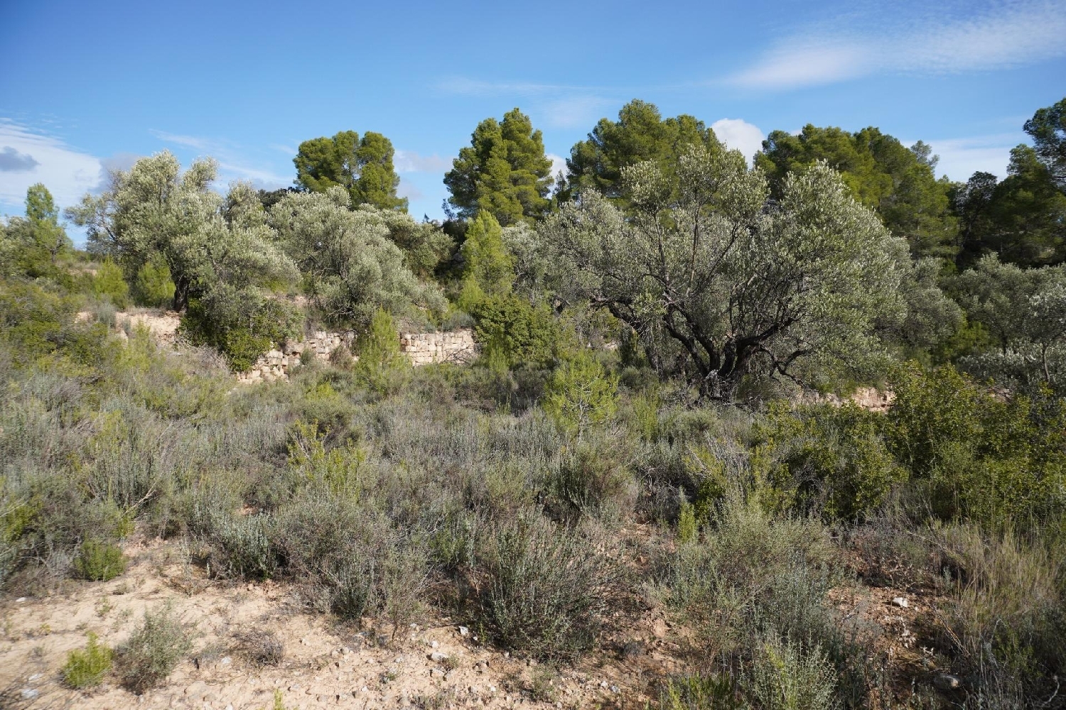  kaufen Landhaus Calaceite Matarraña 3