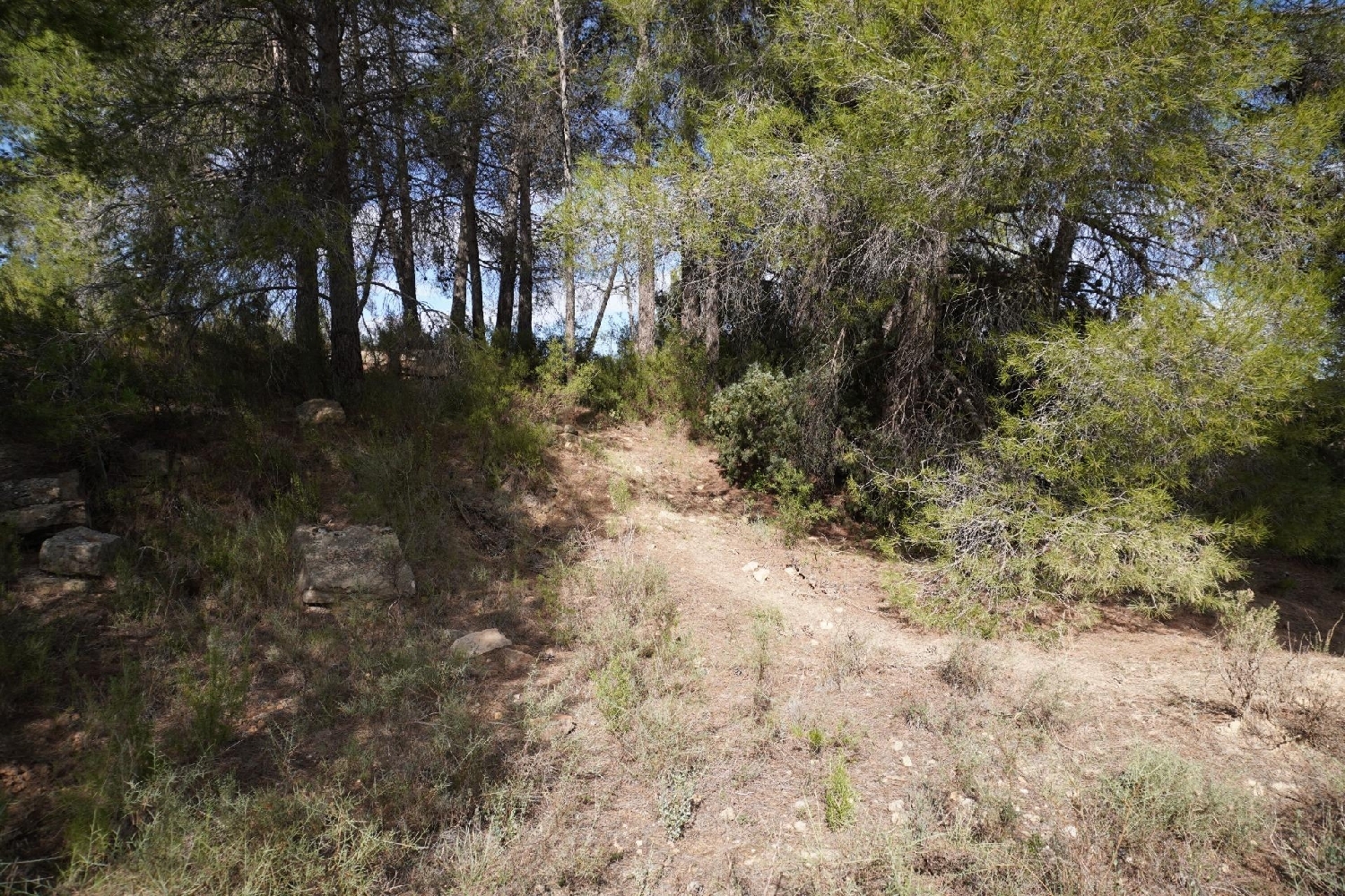  kaufen Landhaus Calaceite Matarraña 7