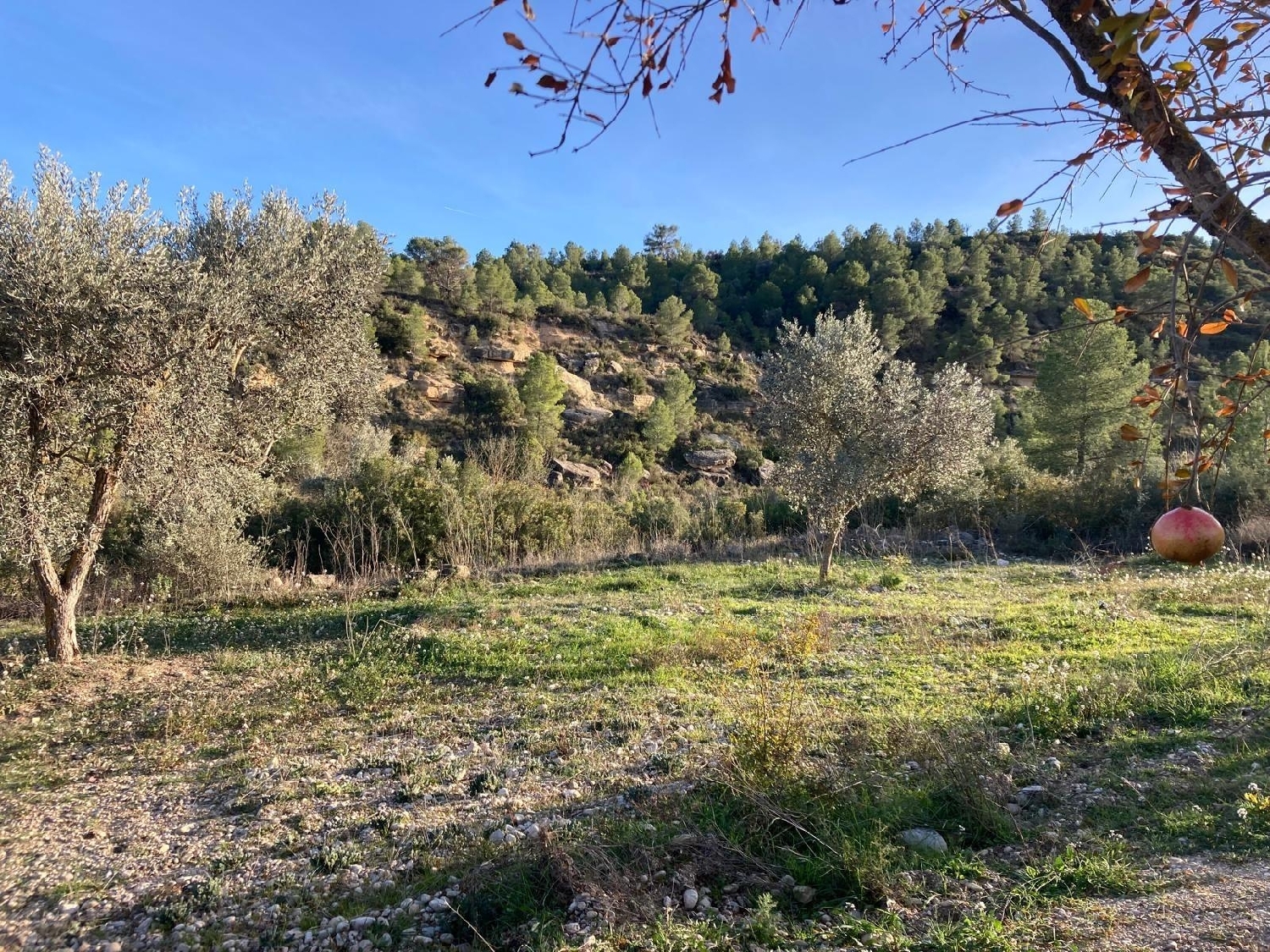  kaufen Landhaus Calaceite Matarraña 5