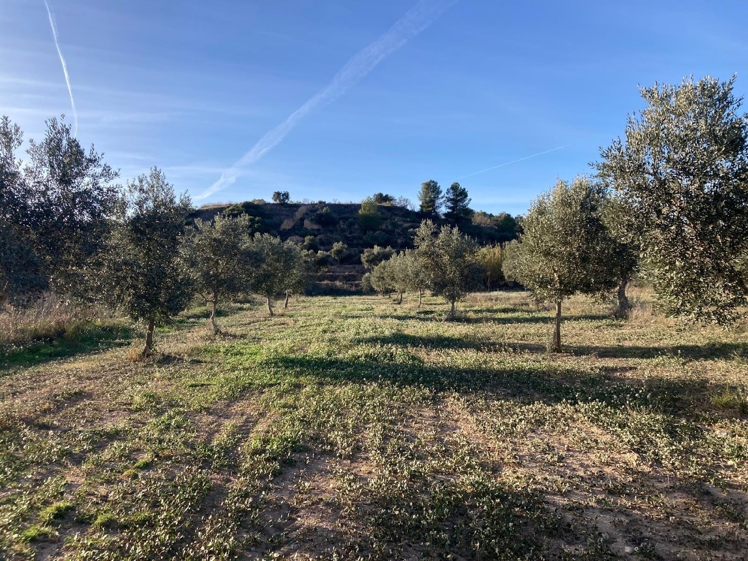  kaufen Landhaus Calaceite Matarraña 4