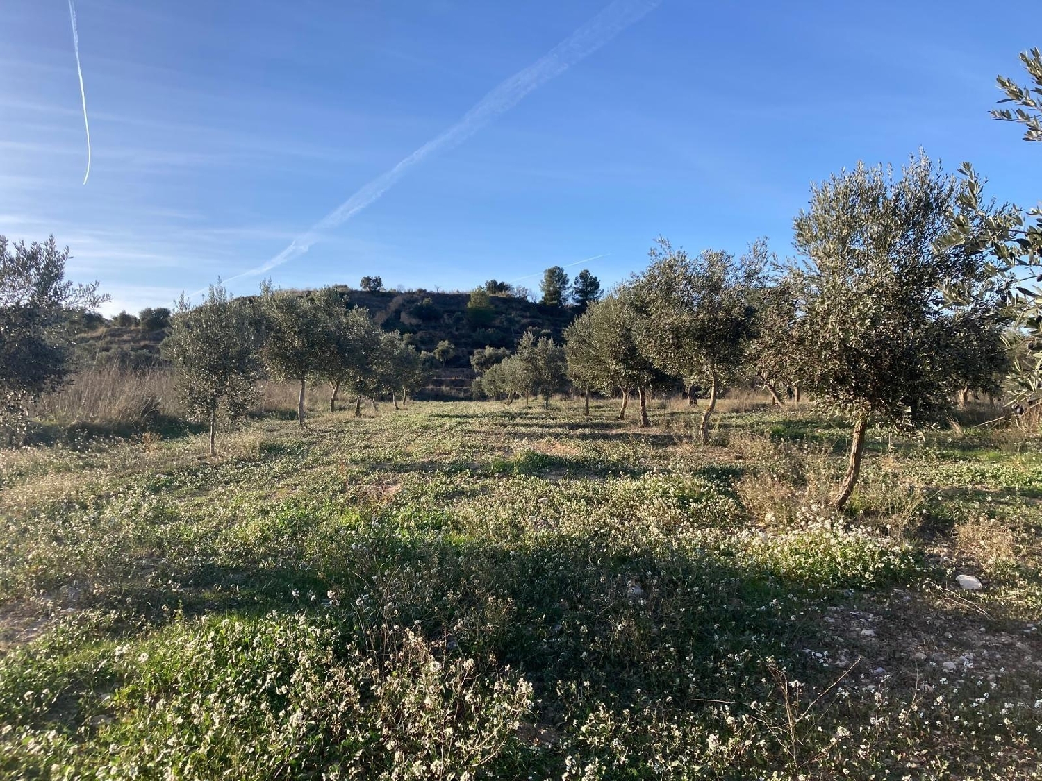  kaufen Landhaus Calaceite Matarraña 7