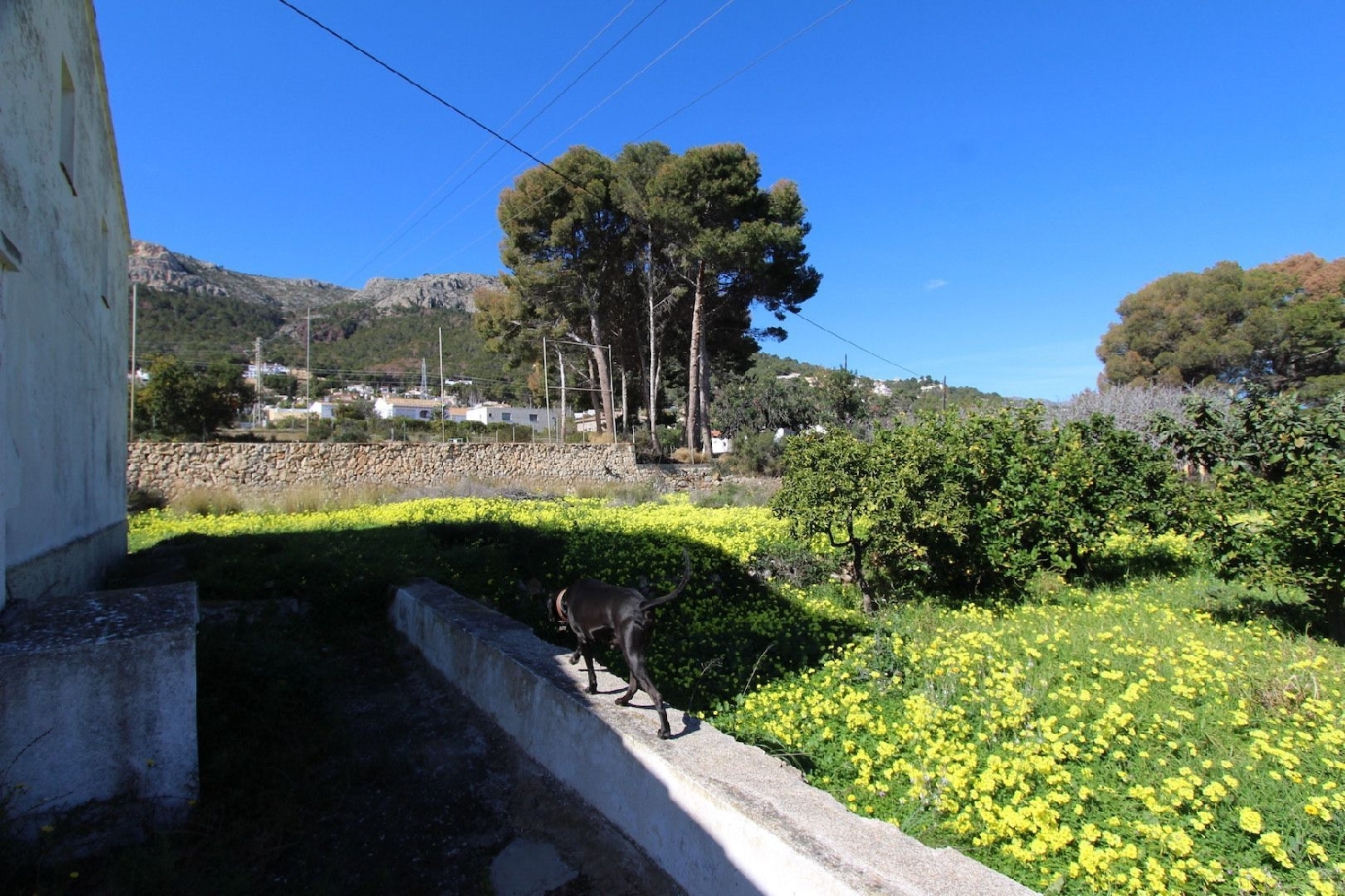 till salu hus på landet Calpe Marina Alta 5