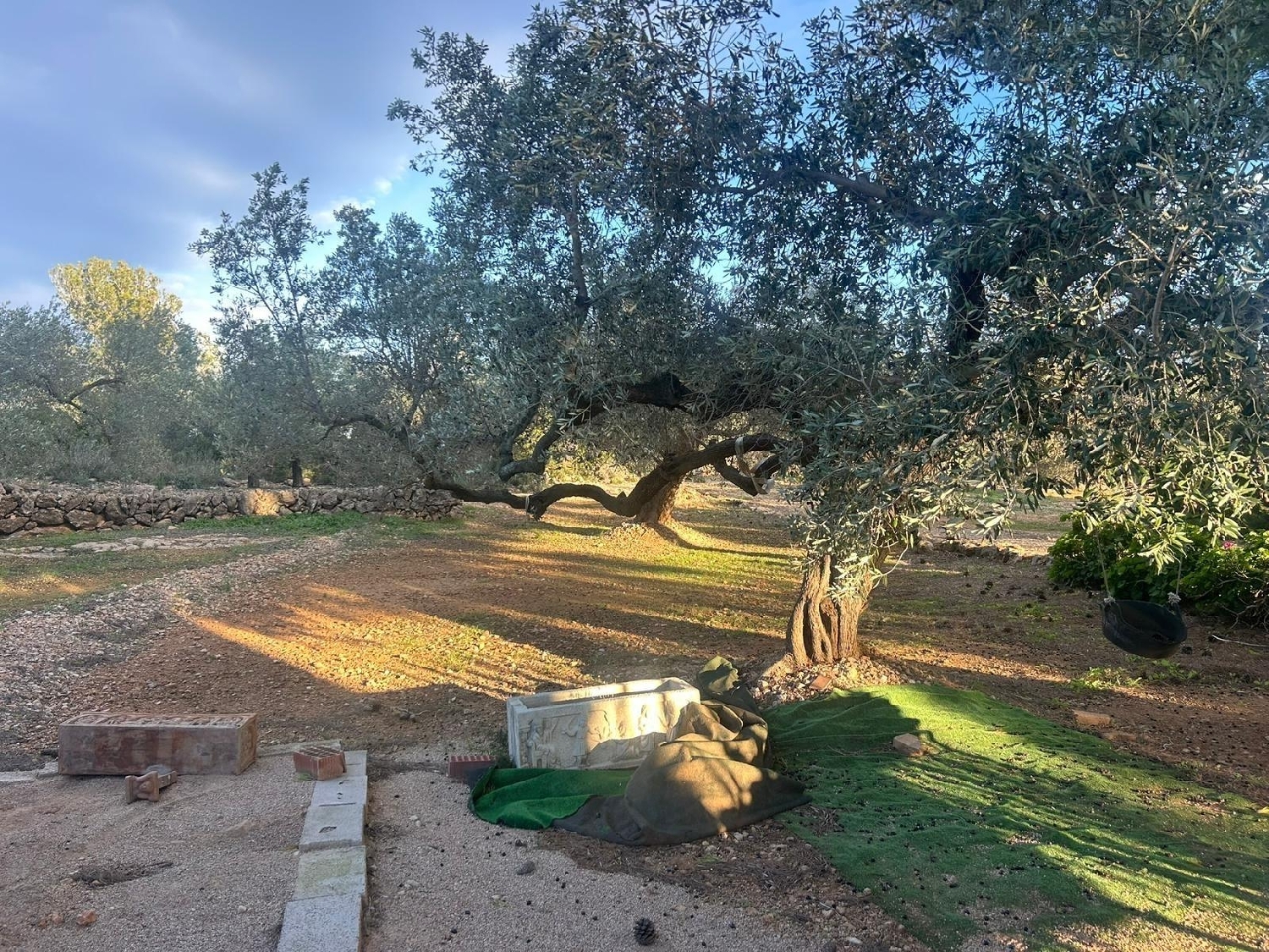  en venta finca rústica Camarles Baix Ebre 6