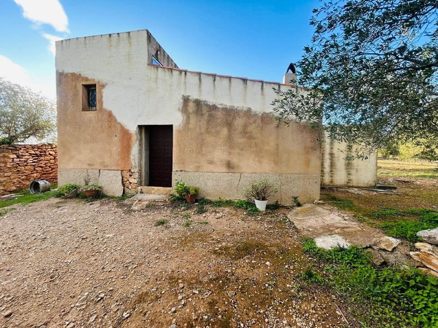  en venta finca rústica Camarles Baix Ebre 1