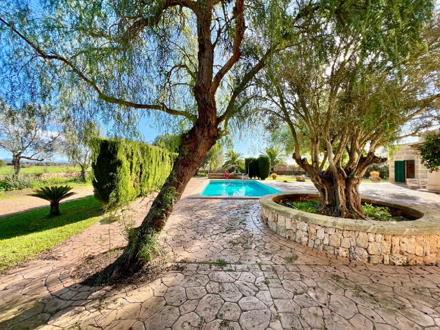 te koop boerderij Campos Sud 7