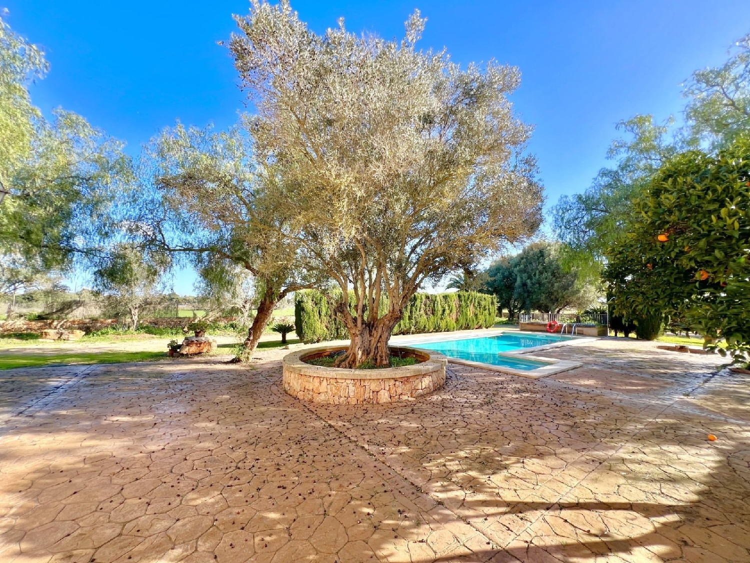 te koop boerderij Campos Sud 6