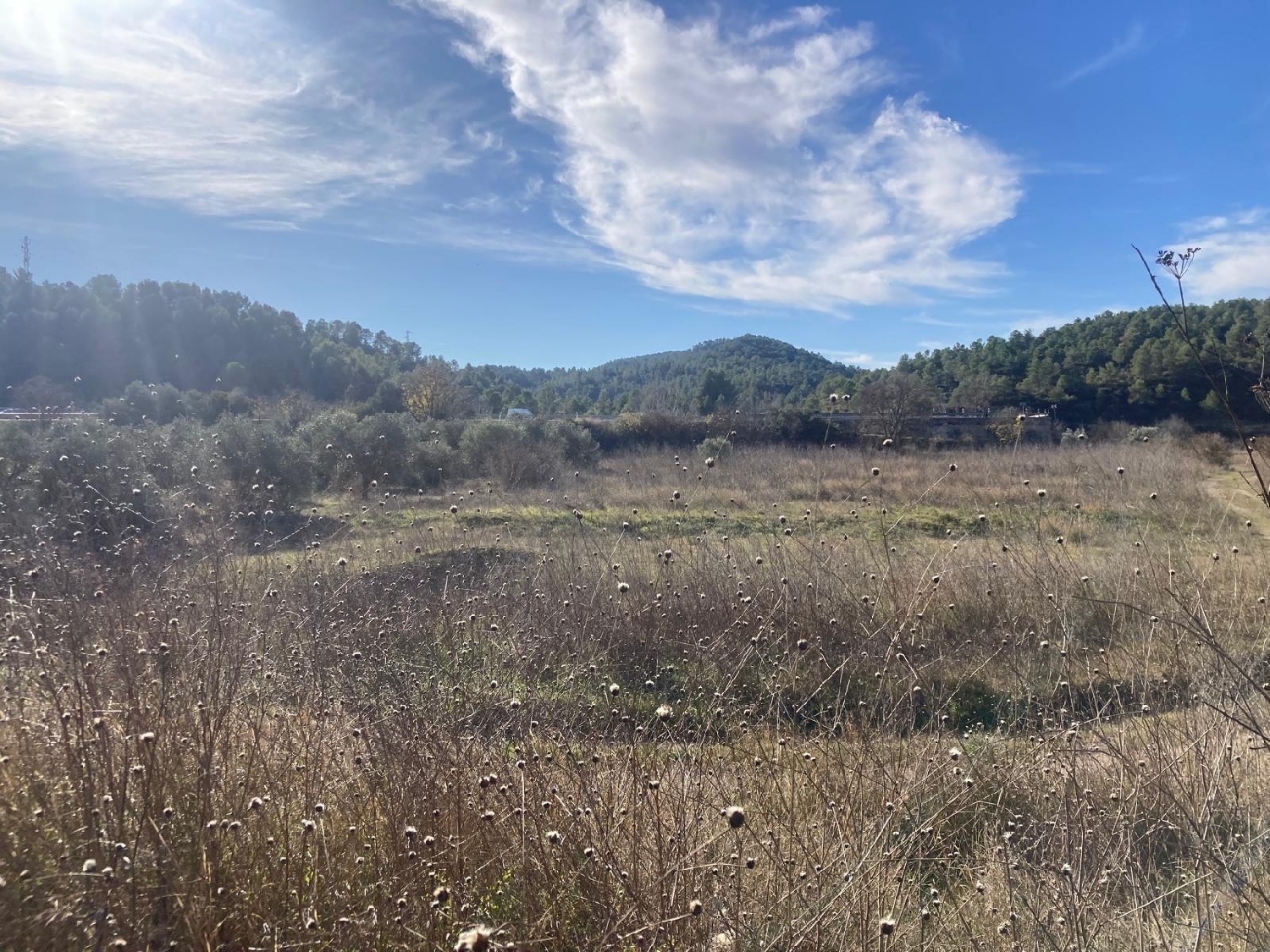  en venta finca rústica Caseres Terra Alta 5