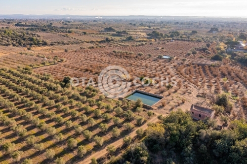 Castellvell Del Camp Baix Camp maison de campagne foto 6331098