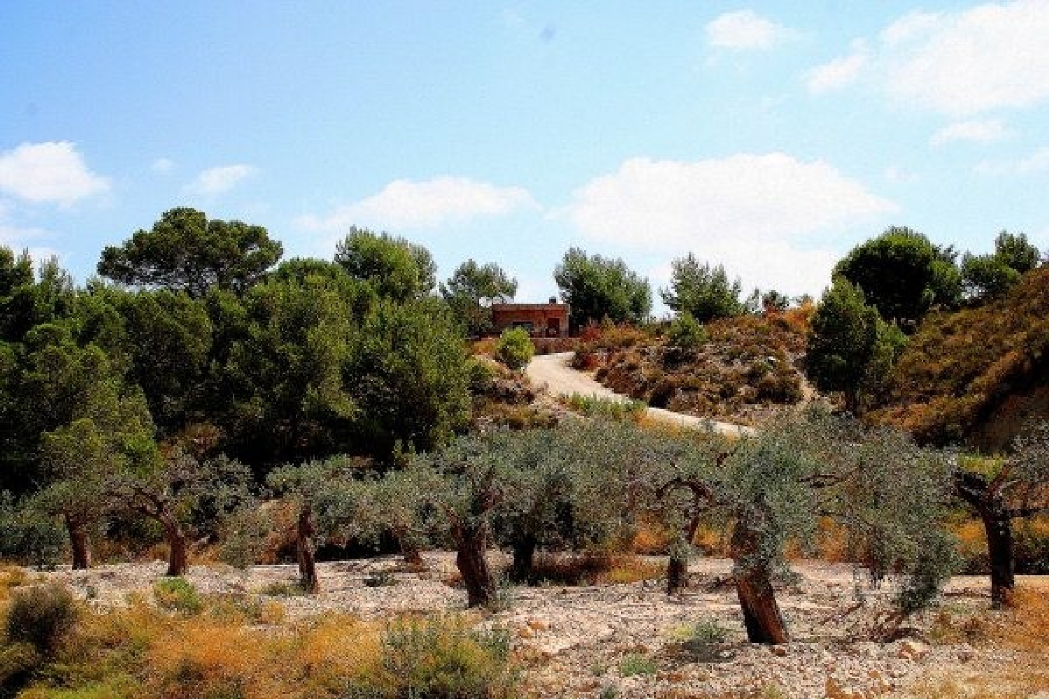  for sale country house Castrillo De Murcia Odra-Pisuerga 8