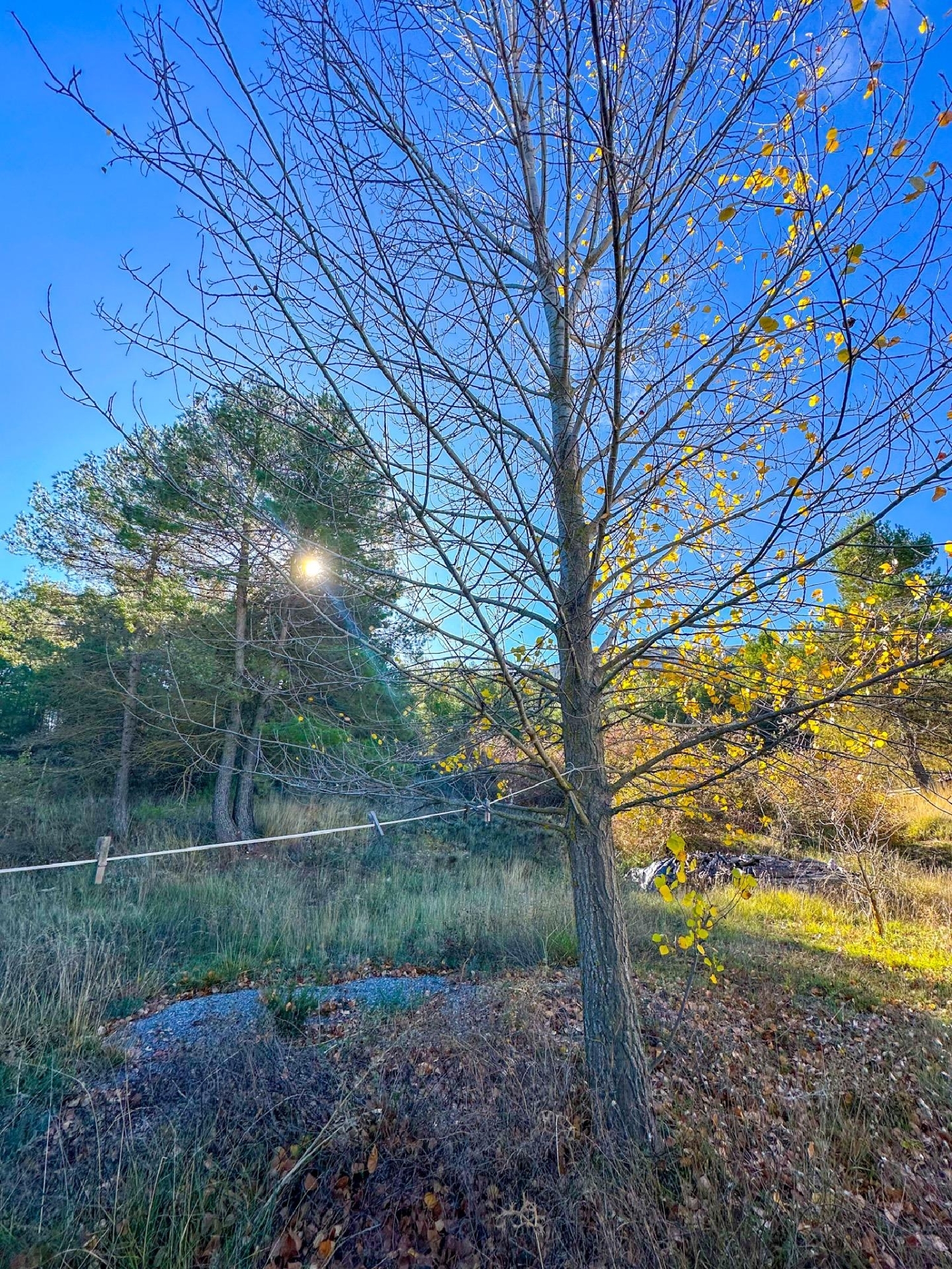  kaufen Landhaus Confrides Marina Baixa 8