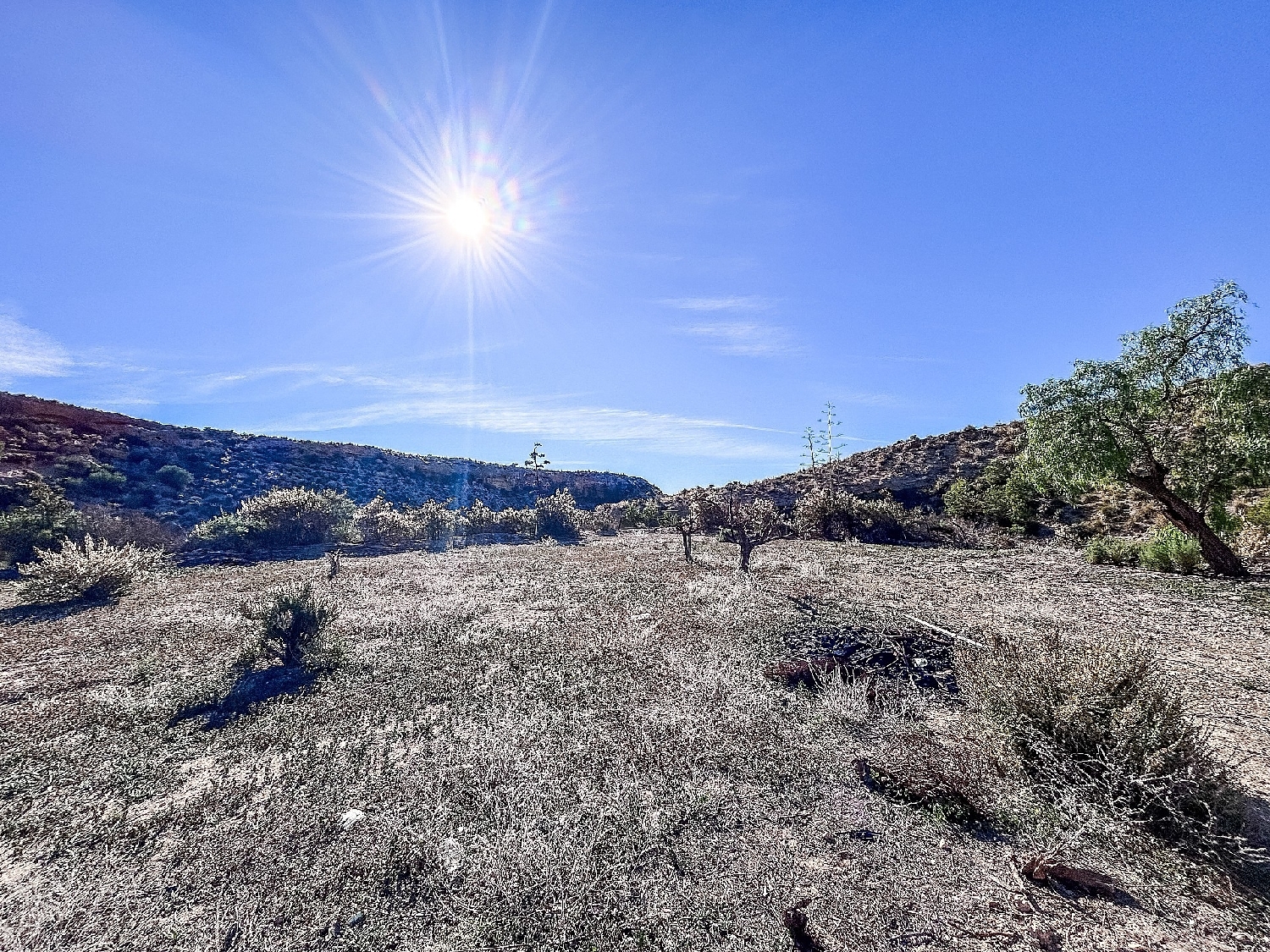  à vendre maison de campagne Crevillent Baix Vinalopó 7