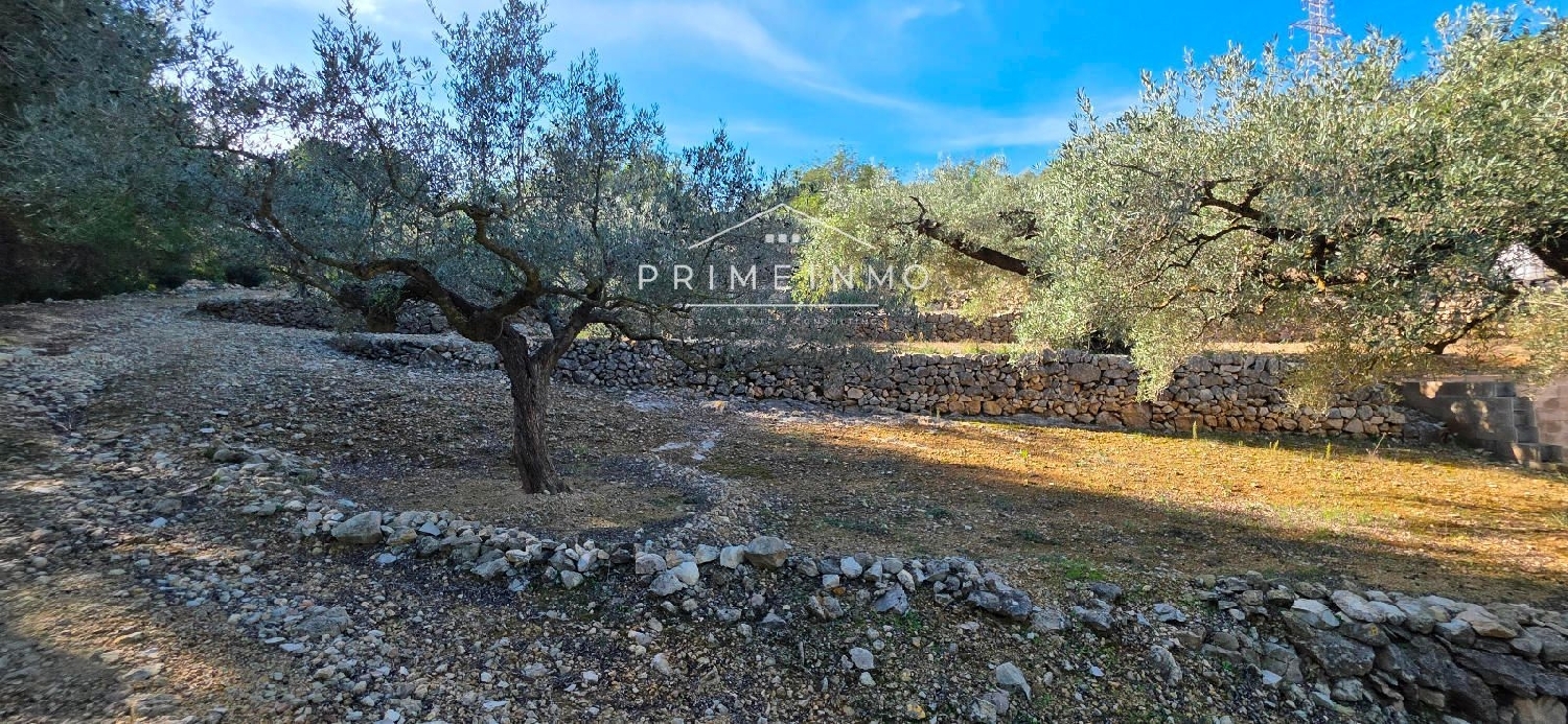  te koop boerderij El Perelló Baix Ebre 26