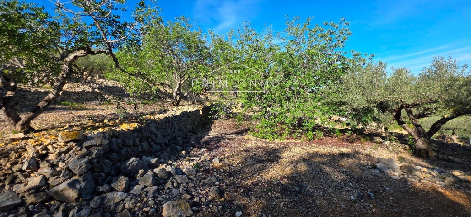  te koop boerderij El Perelló Baix Ebre 28