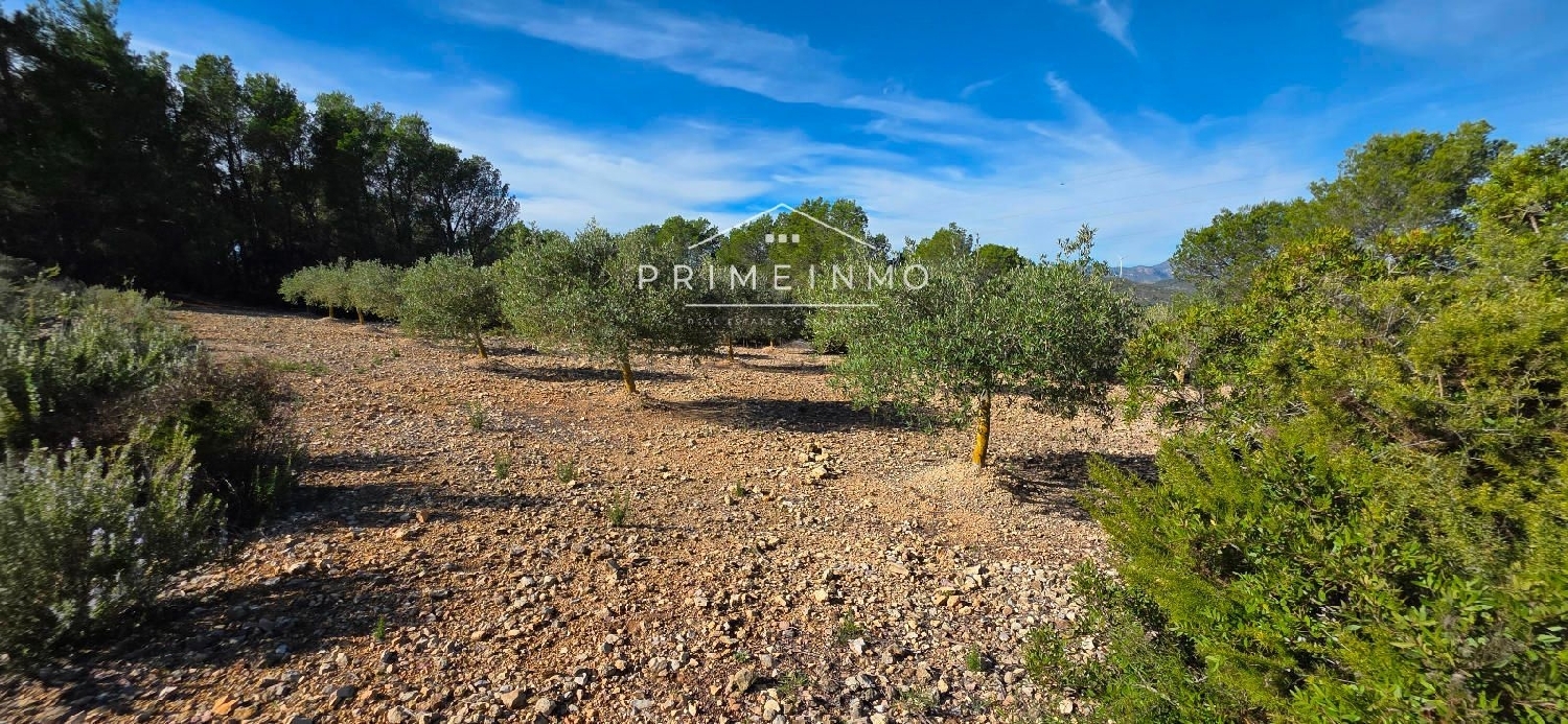  te koop boerderij El Perelló Baix Ebre 30