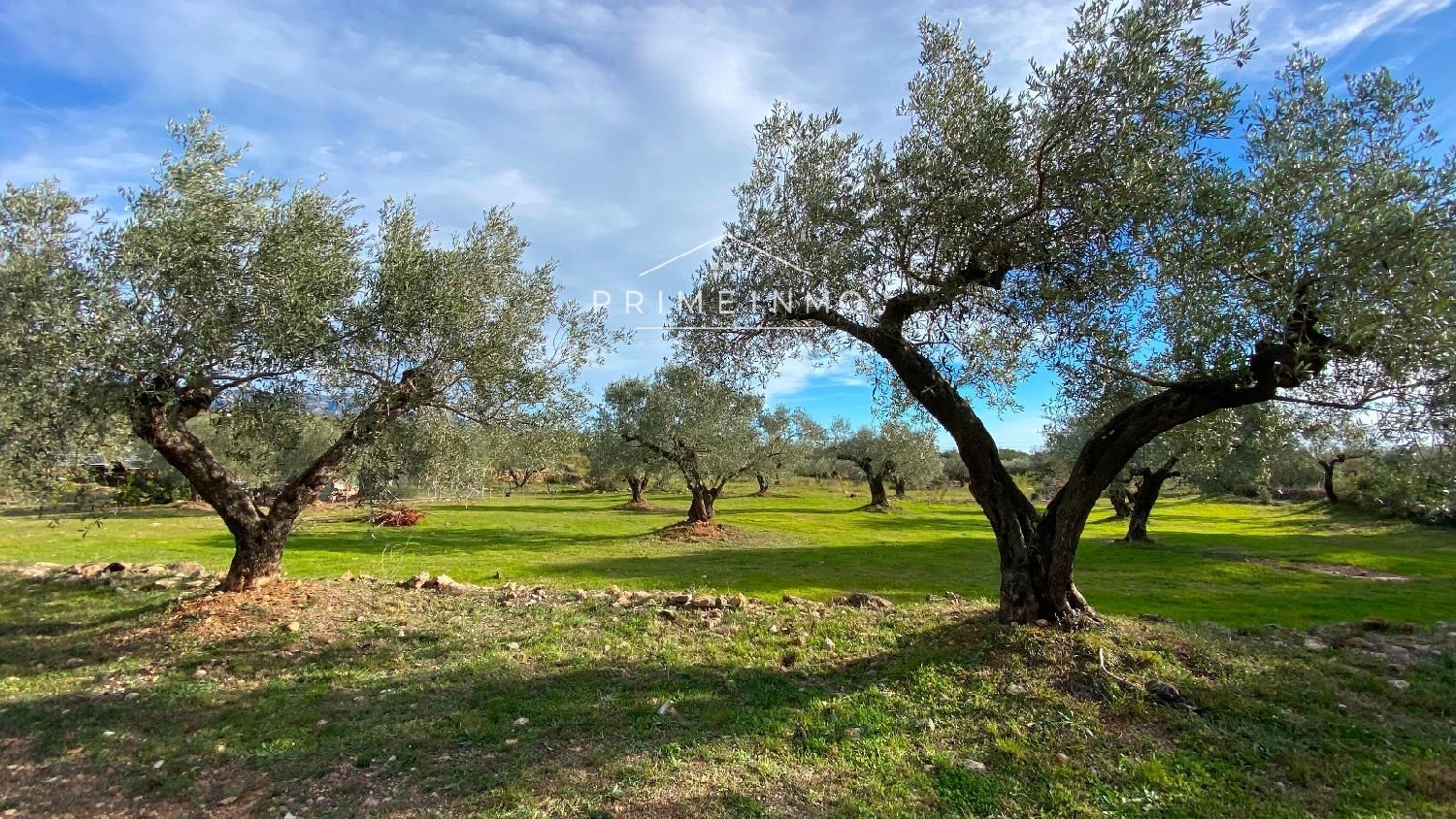  à vendre maison de campagne El Perelló Baix Ebre 32