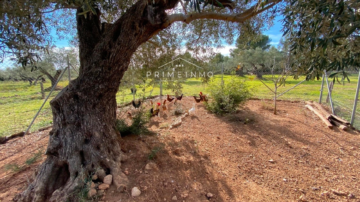 à vendre maison de campagne El Perelló Baix Ebre 33