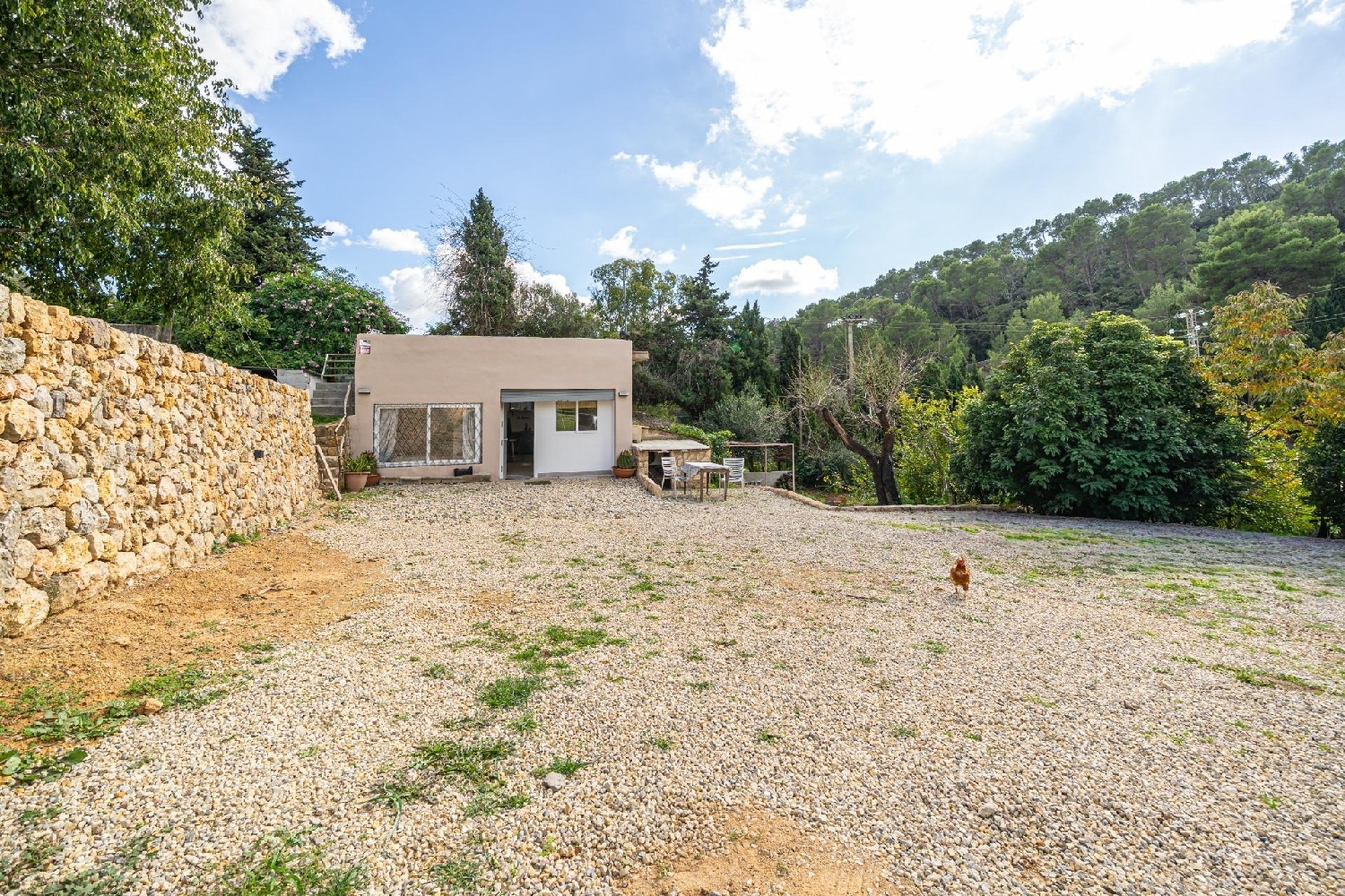  en venta finca rústica Esporles Tramuntana 1