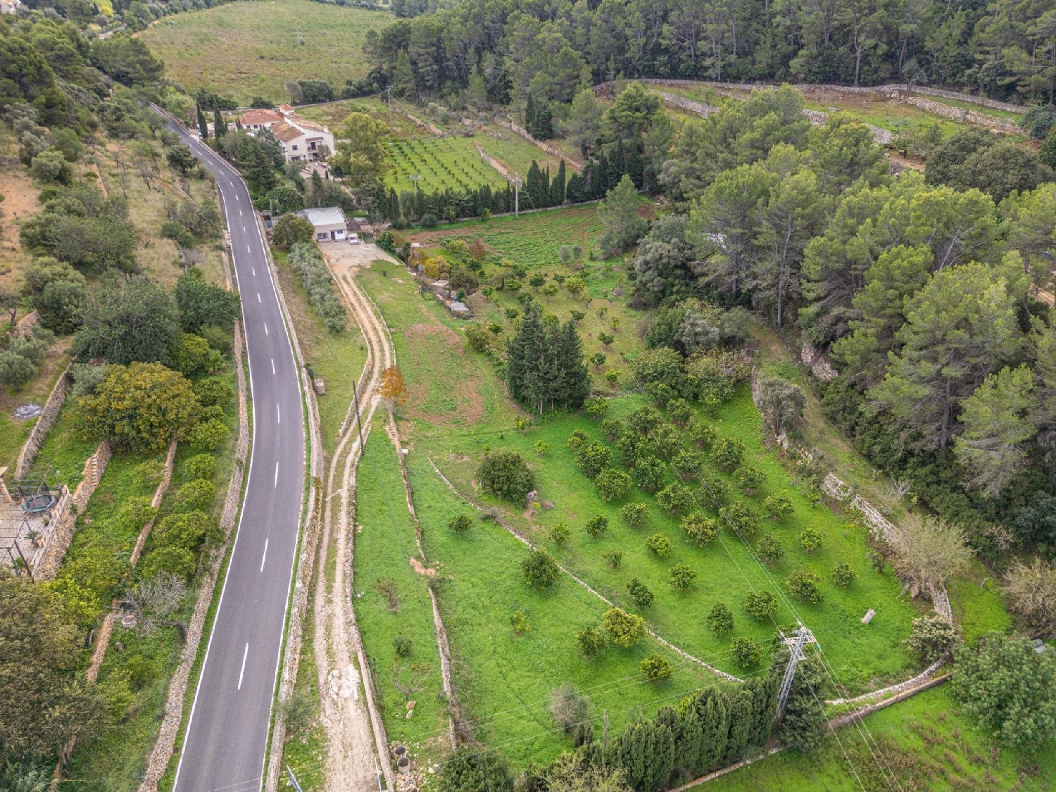  en venta finca rústica Esporles Tramuntana 2