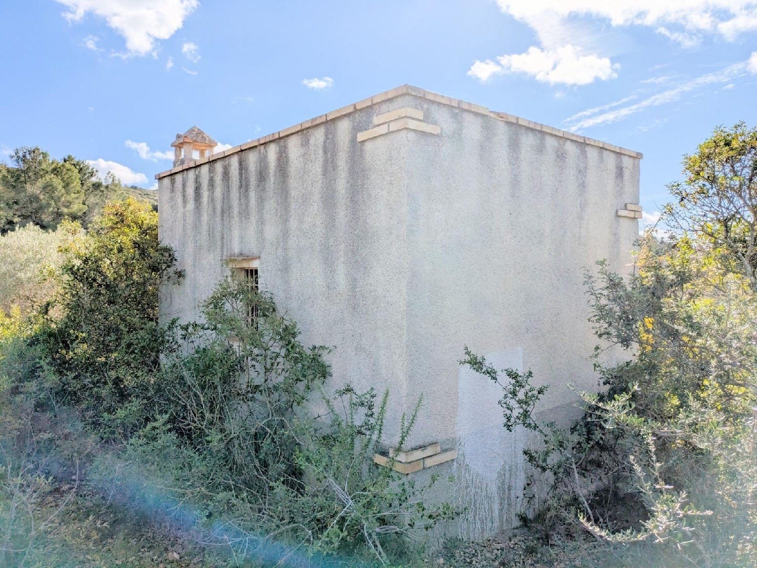  en venta finca rústica Freginals Montsià 3