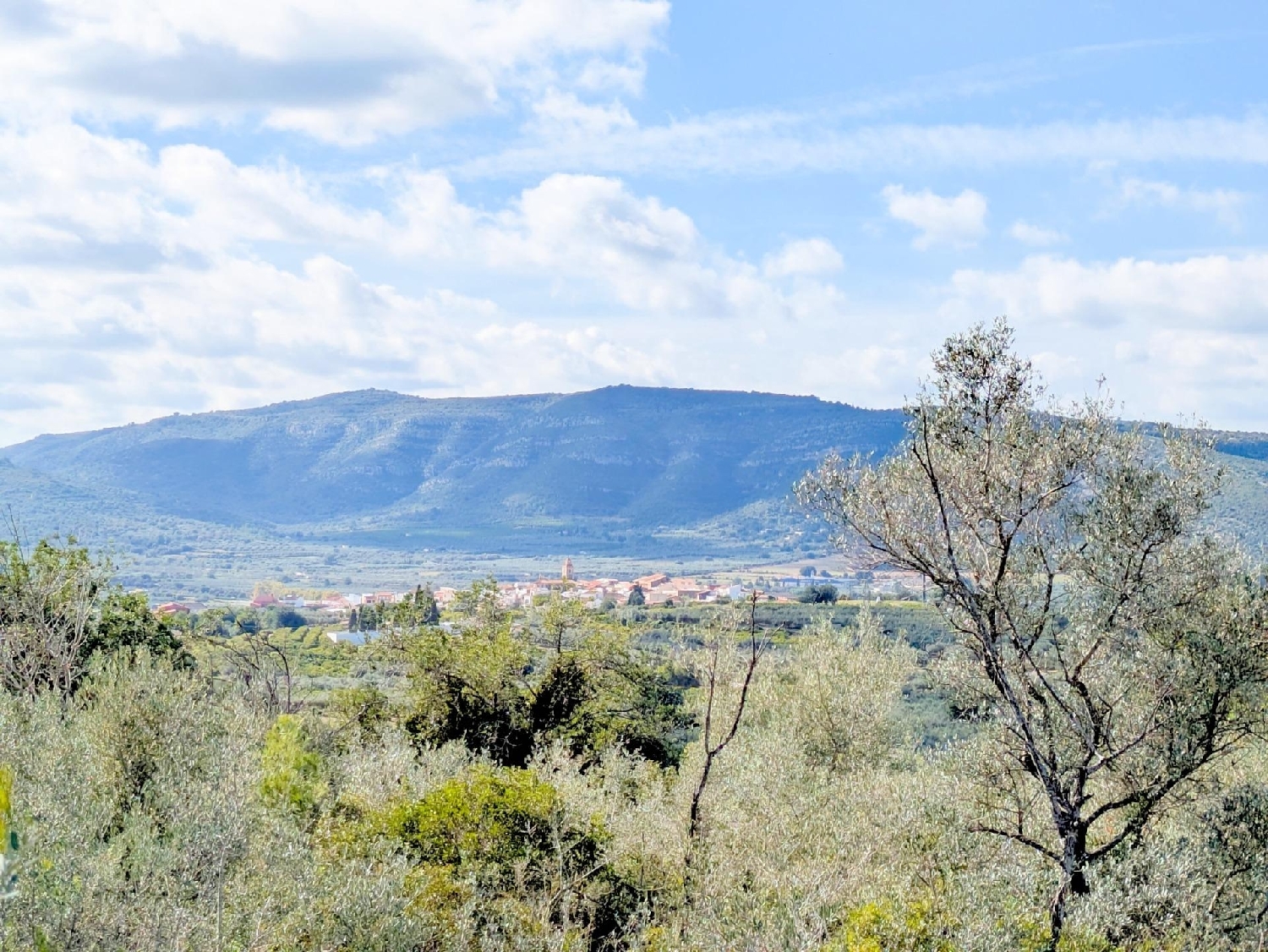  en venta finca rústica Freginals Montsià 1