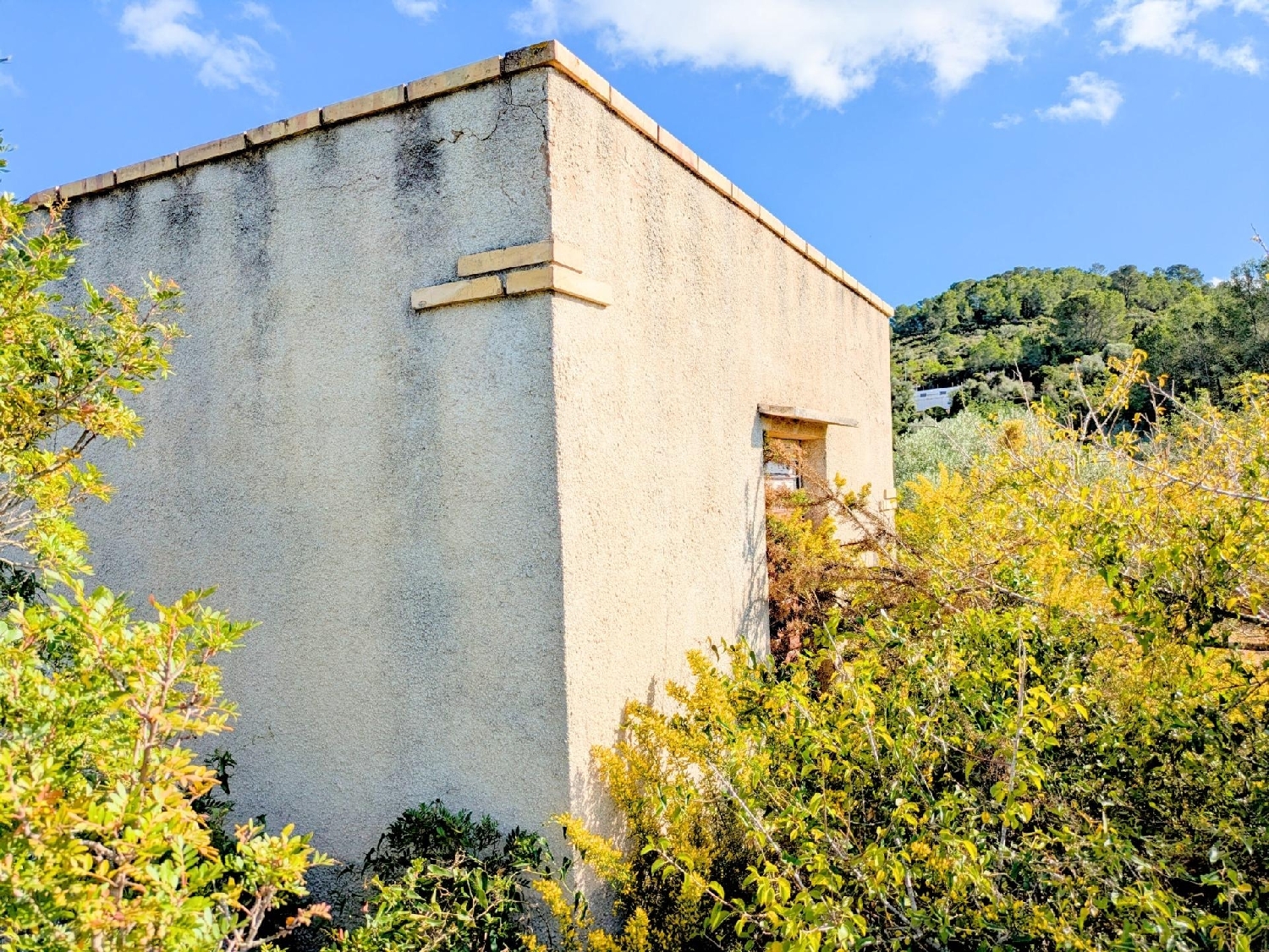  en venta finca rústica Freginals Montsià 4