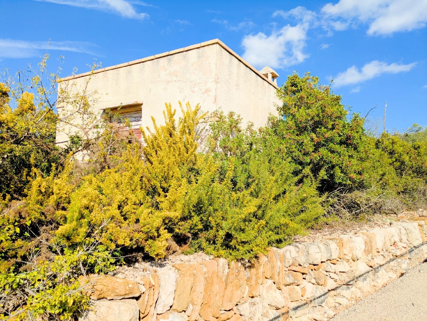  en venta finca rústica Freginals Montsià 6