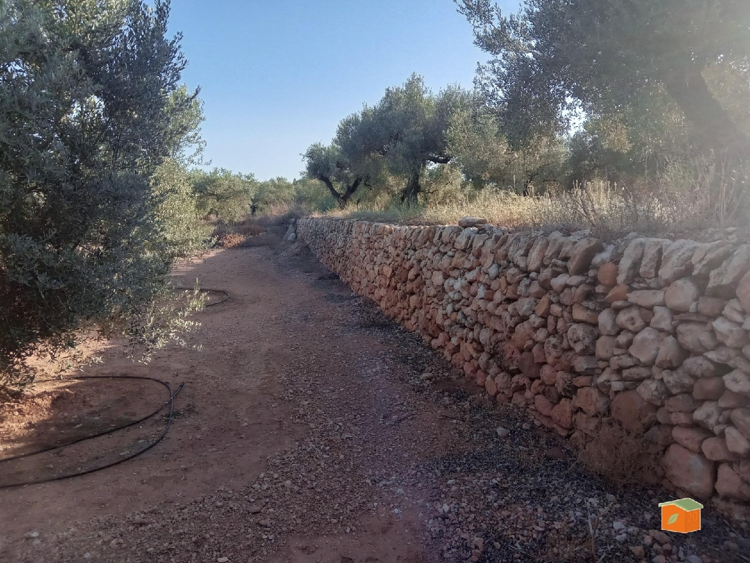  à vendre maison de campagne Freginals Montsià 7