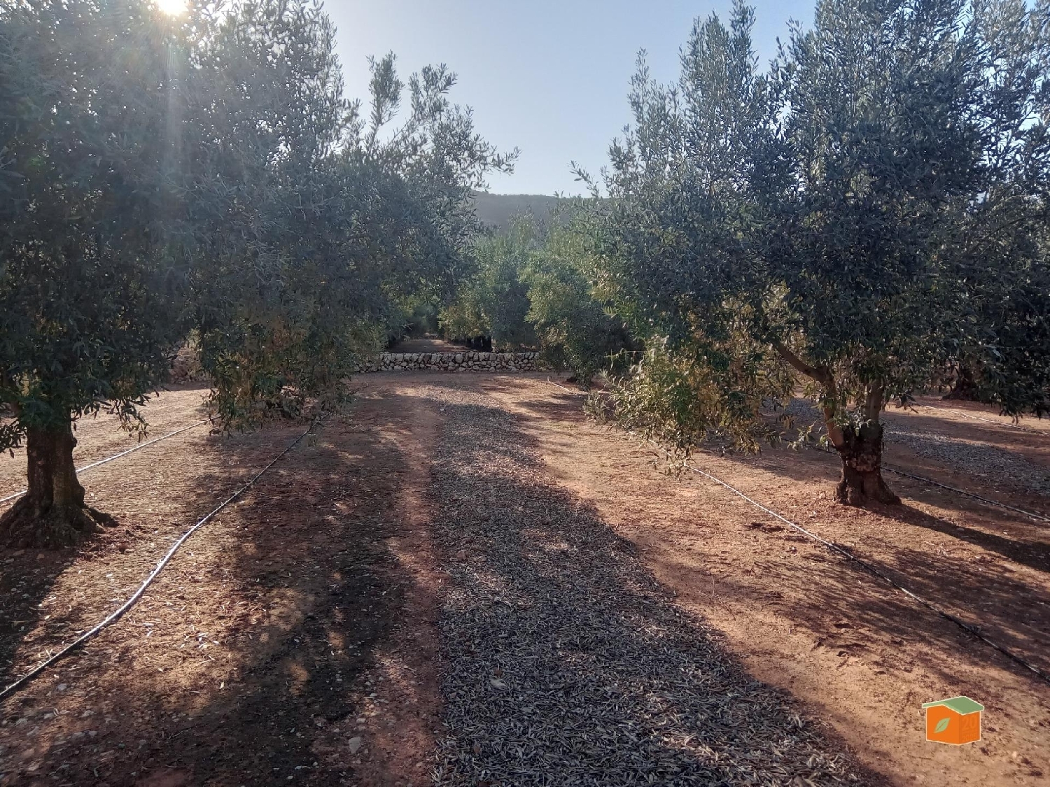  à vendre maison de campagne Freginals Montsià 5