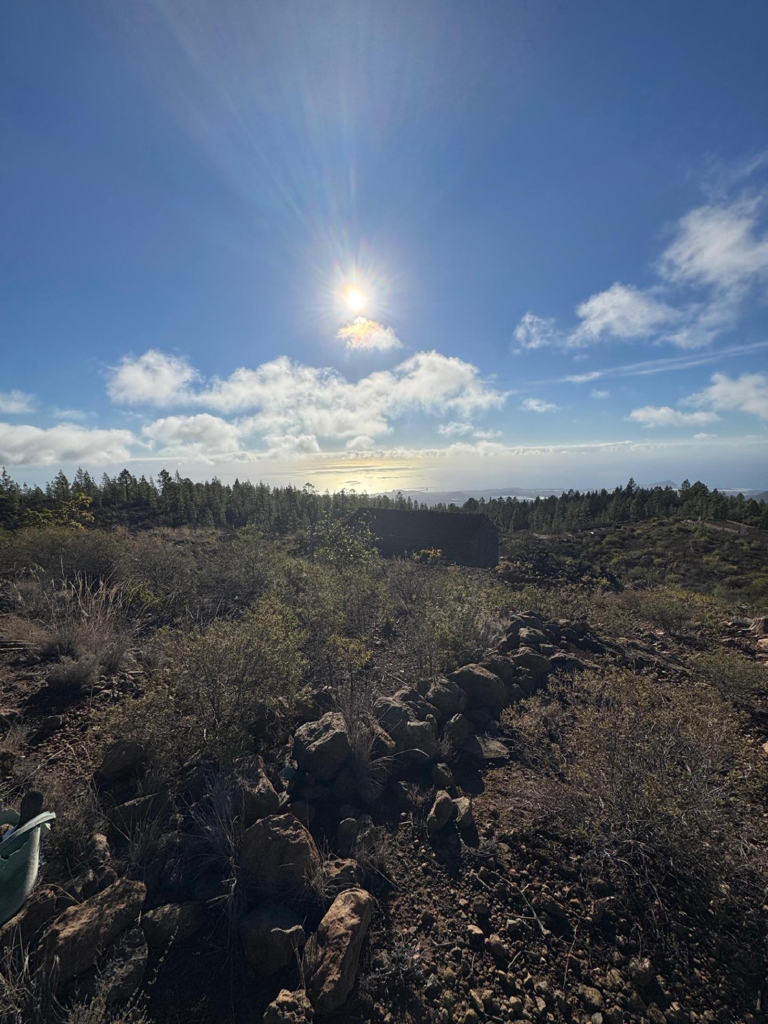  till salu hus på landet Granadilla De Abona Zona Sur 5