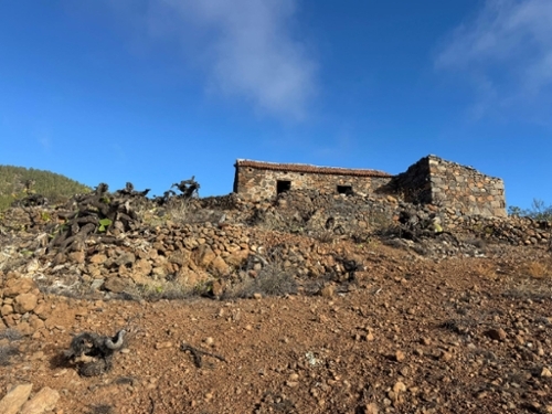 Granadilla De Abona Zona Sur hus på landet foto 6331376