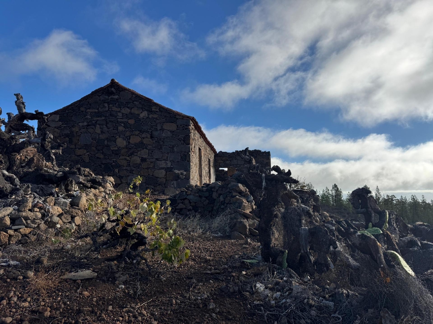  till salu hus på landet Granadilla De Abona Zona Sur 2