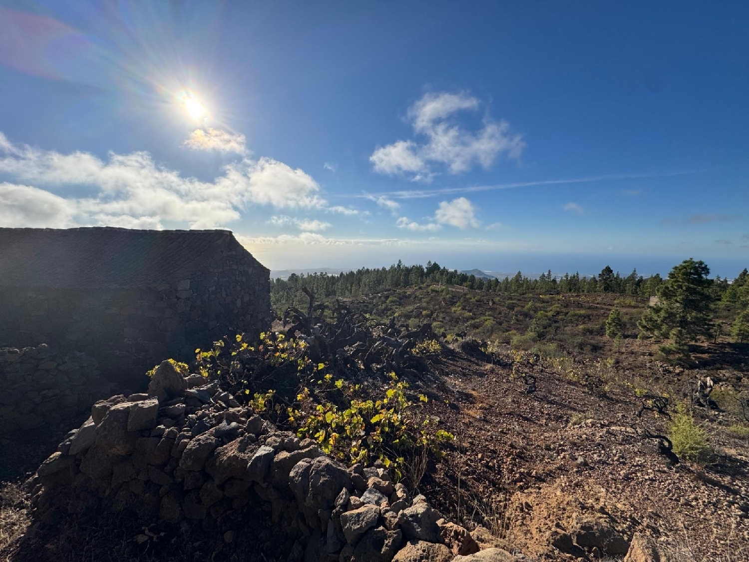  till salu hus på landet Granadilla De Abona Zona Sur 4