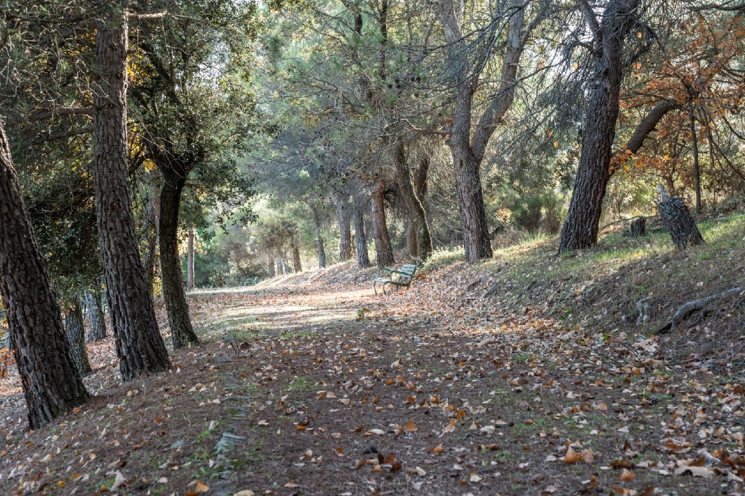  for sale country house Guadarrama Cuenca Del Guadarrama 4